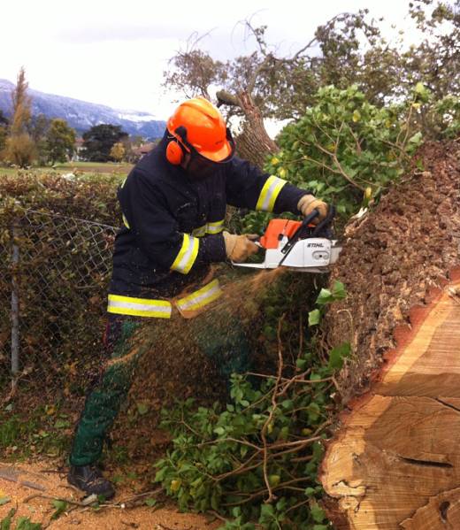 Chene-2012-11-03 Chene-2012-11-03